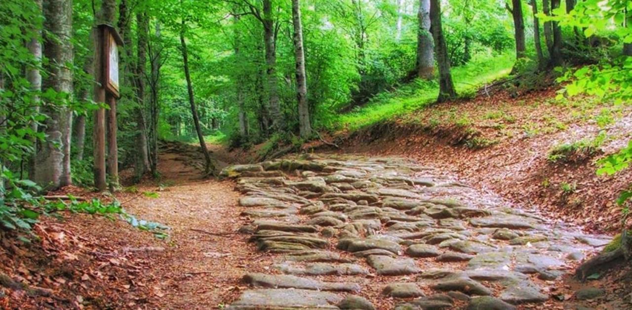 Agricampeggio Ca Di Mazza Monzuno Kültér fotó